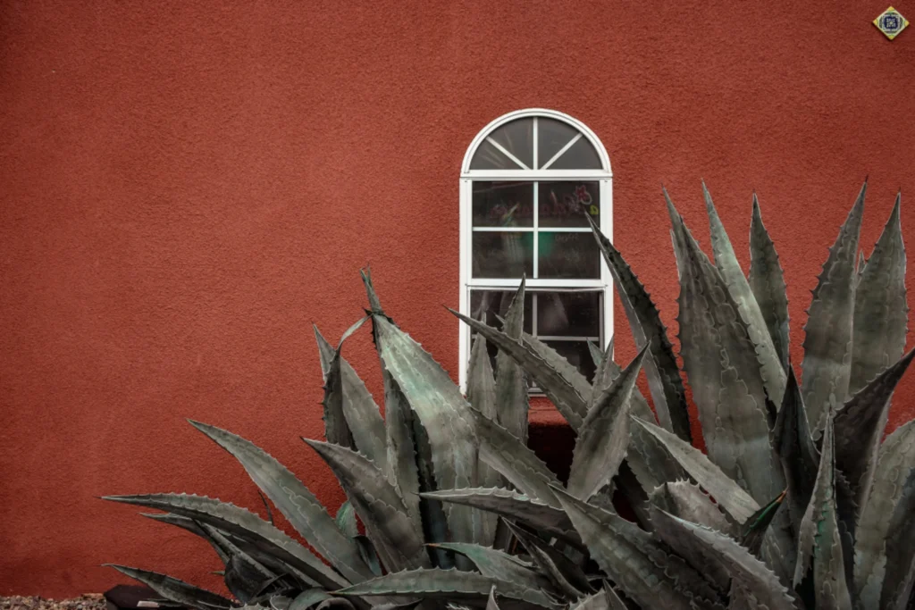 How to Choose the Right Paint for Kerala's Humid Climate